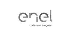 logo-enel