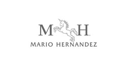 logo-mario-hernandez
